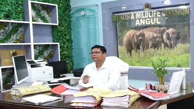 Chhua hati