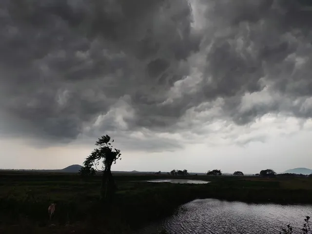 Rain 2026 06 09 12 17