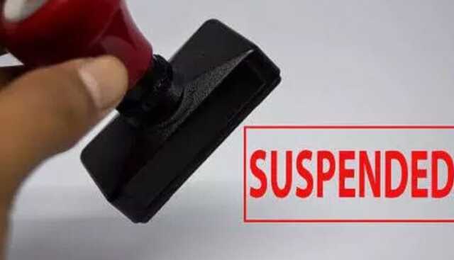 Suspanded 750x430