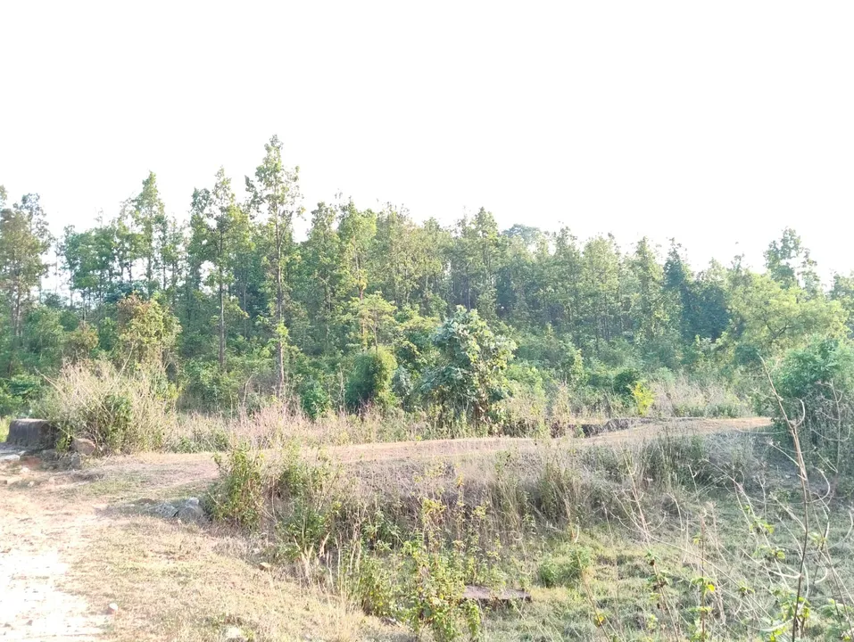 Suspected maoists 2026 06 10 19 16