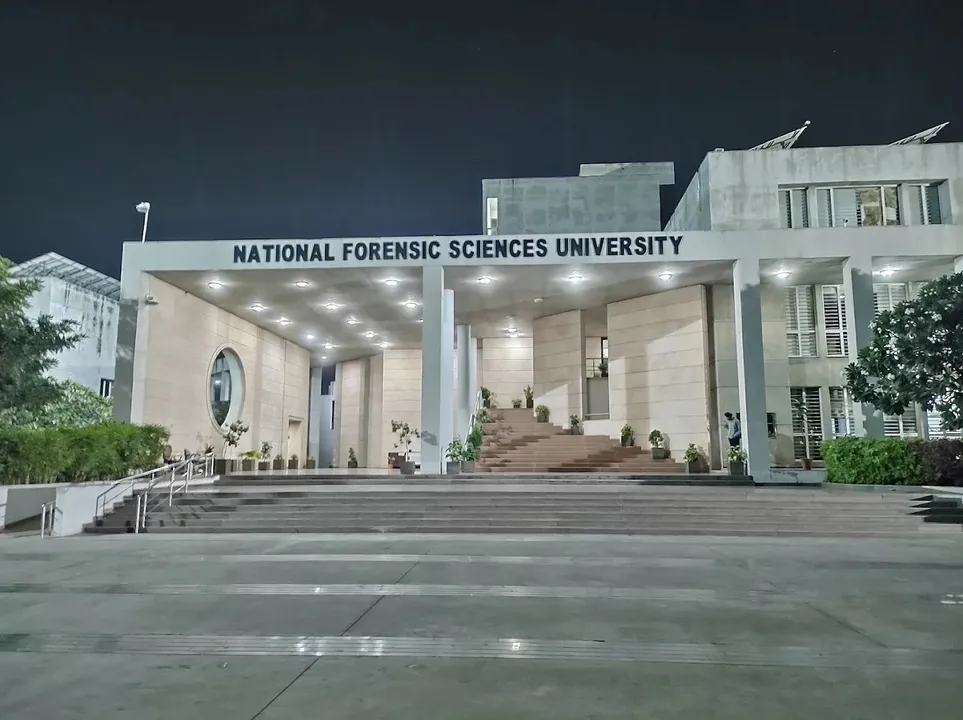 Forensic 2026 07 29 19 08