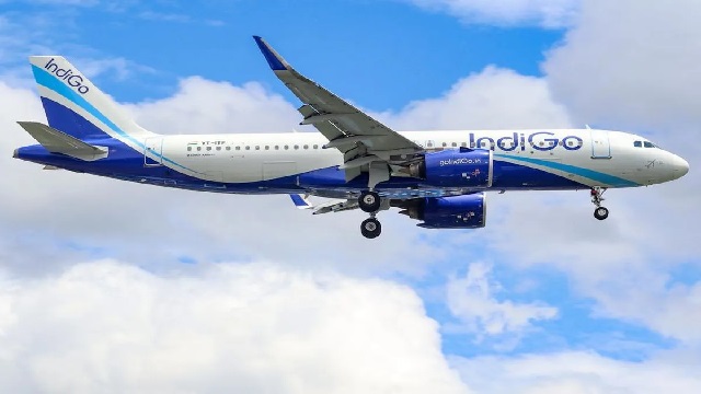 Indigo flight