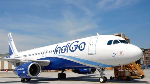 Indigo 1684436014045