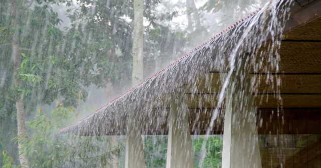 Rain