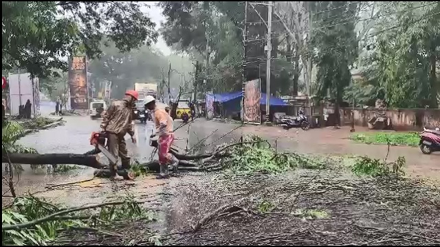 Rain