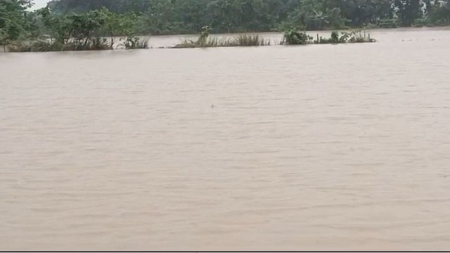 Flood