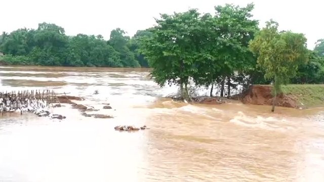 Flood