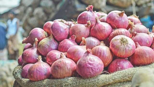 Onion
