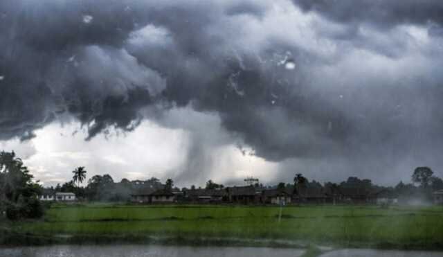 Rain