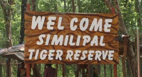 Similipal