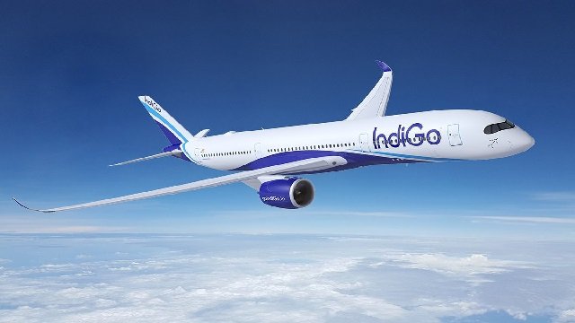 Indigo
