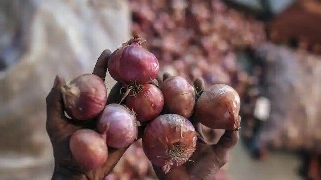 Onion price