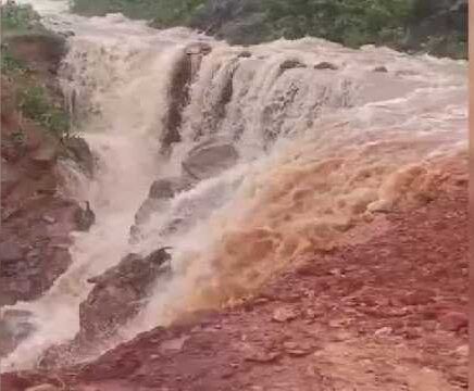 Sarisua