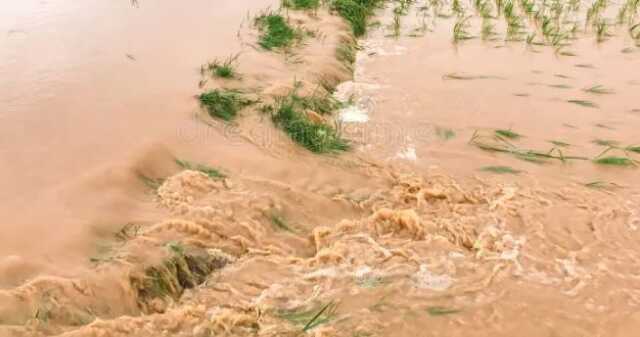 FLOOD FIELD