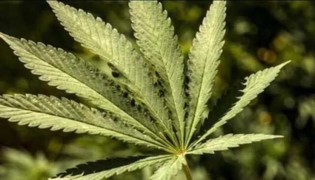Ganja 750x430