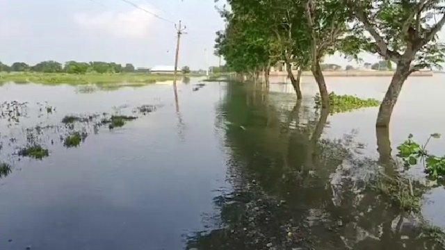 Salandi