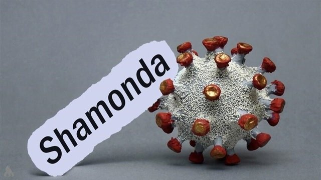 Shamonda virus